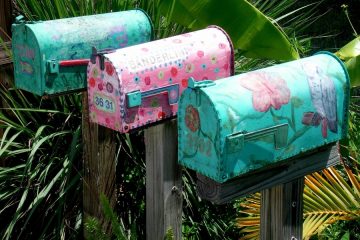 Newsletter